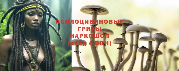 меф Гусев