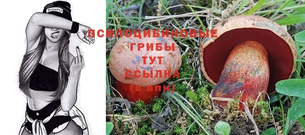 марки nbome Гусь-Хрустальный