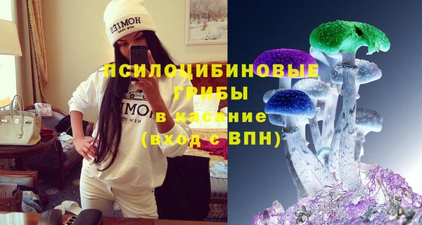 гидра Дмитровск