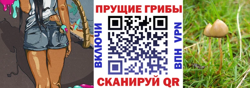 Псилоцибиновые грибы мицелий  Волгореченск 